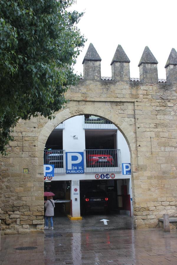 Loft Turistico En Casco Historico, Wifi Y Tv Satelite Gratis Apartment Cordoba Luaran gambar