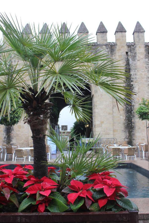Loft Turistico En Casco Historico, Wifi Y Tv Satelite Gratis Apartment Cordoba Luaran gambar
